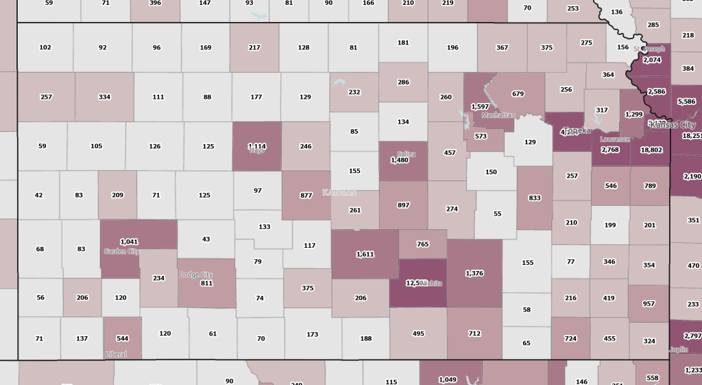 A map of Kansas showing the number of businesses by county.