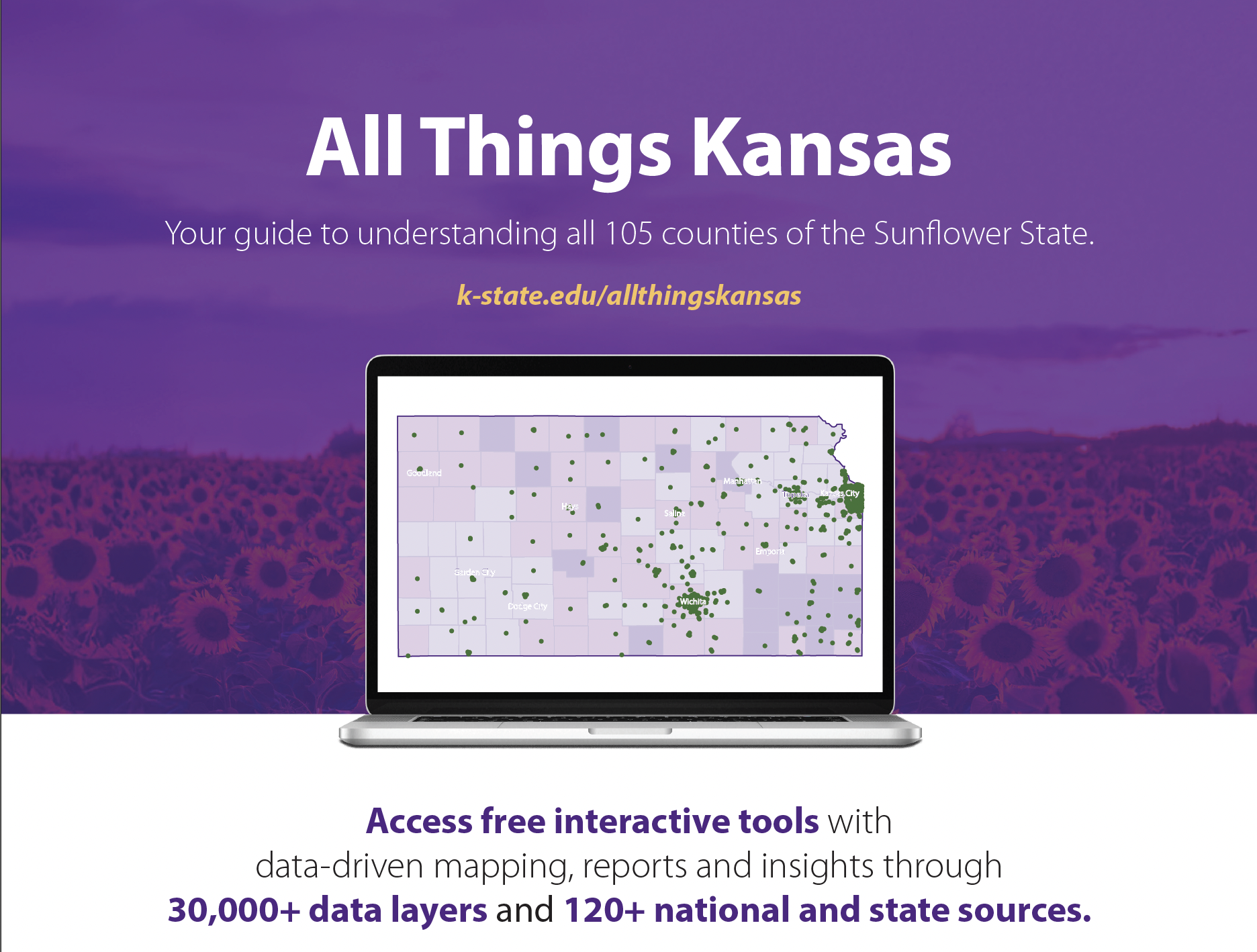 A screenshot of the one-pager information sheet.
